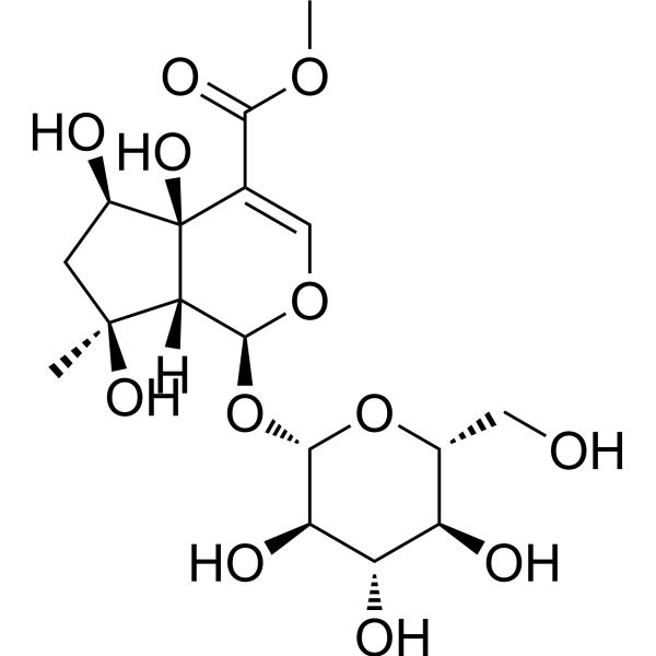 6β-Hydroxyipolamiide 87797-84-0